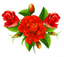 30318_0_a5c02_ad283d7_XL.