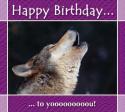 30388_wolfbirthday.