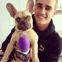 30466_antoine-griezmann-et-son-chien-hooki-261558_w600.