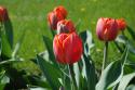 3046DSC_0910.
