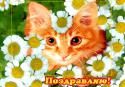 30470_1fd96_b92668e2_L.