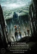 30485_kinopoisk_ru-The-Maze-Runner-2513299.