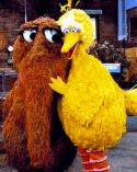 30499_BirdandSnuffy.