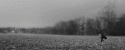 30583_tumblr_lz3h6vuyz41qhw54eo1_500.