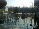 30609_Vesna_1.