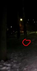 30766_image.