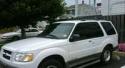 3078_3772482tedditelpanite9636817.
