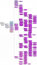 30832_Stammtafel_Georg_Gruner.