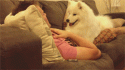 31053_tumblr_mt0pjnJd491qduclao1_400.