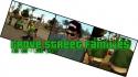 3105_grove1.
