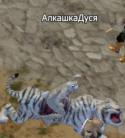 31071_smeh2.