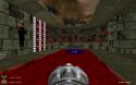 310Screenshot_Doom_20100730_173826.