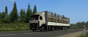 31173_gts_00057.