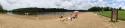31230_OhioBeachLOL.