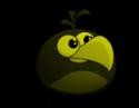 31303_24580_Angry-Birds_Wallpaper_Oboi_ot_madfive5_Little-MadFivegold-picsay.