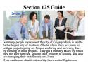 31310_section_125_guide.