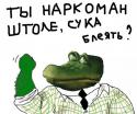 31331271964259935.
