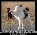 31337_ajBcHd9CB00.