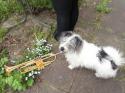 3141_bennytrumpet.