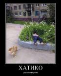 31448_Hatiko.