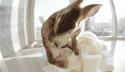 31468_tumblr_lyh99vHUfJ1qhlg46o1_500.