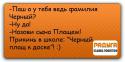 31613_chernyi_plash.