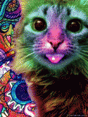 31658_hypnokitty-meet-acid-kitty.