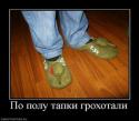 3167902901_po-polu-tapki-grohotali_thumbnail.