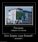 3176370263_kot-boris-syin-bozhij.