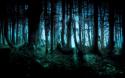 31765_dark-forest_00222748_zps22a68faf3.