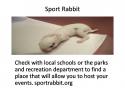 3178_Sport_Rabbit.