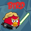 31808_bird.