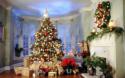31843_New_Year_wallpapers_A_beautiful_tree_with_gifts_012699_.