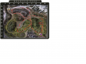 31877_gonka.
