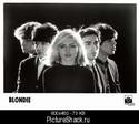 3190blondie_pstock.