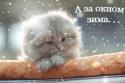 32095_1014a03fb49029f7458e7e4dd9c616cd.