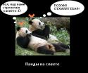 3242imagesCAYZRKK0.