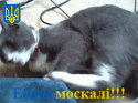 32431_moskali.