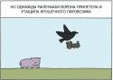 32432_x_07359ccf.