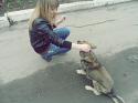 32451_SAM_2106.