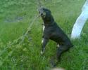 3266Foto004.