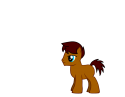 326_myPony.