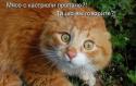3300_t6JgJfU61FQ.