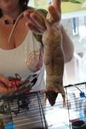 33026_phoca_thumb_l_img_0868.