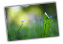 33075_menyslkuti.