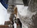 33090_foto.