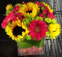 33314_www_deluxeflorist_comproductsshort-design-weekly-delivery.