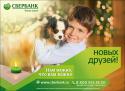 33386_banner_sberbank.