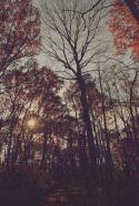 33435_tumblr_mt3ycjhQhr1s4k8vho1_500.