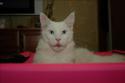 3360DSC_0035.